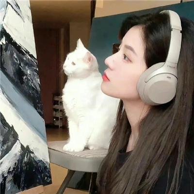 云深不知梦